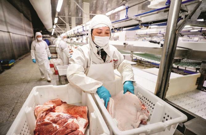 In Wuhan the meat business has begun. Photo: PTI