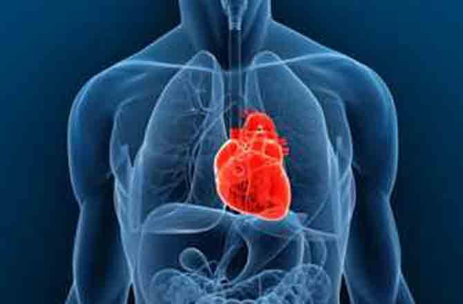 Artificial Heart - Pic : INN