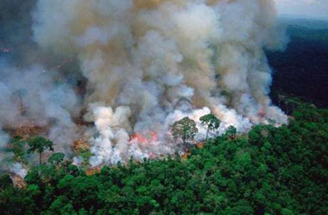 Fire in Amazon Forest - Pic : INN