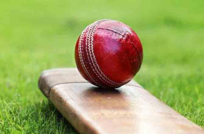 Cricket Ball - Pic : INN