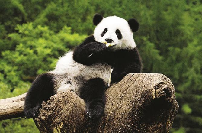 For Representation Purpose Only. Photo INN