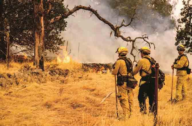 Fire in Forest - Pic : PTI