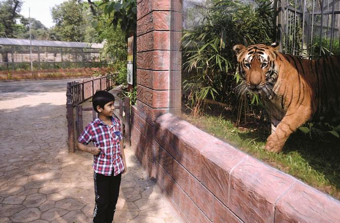 Rani Bagh Zoo - Pic : Pradeep D