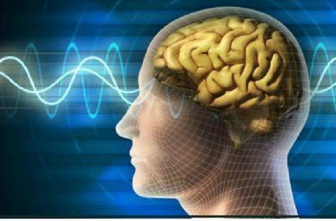 Picture.Picture :INN