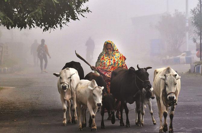 Weather in Uttar Pradesh - Pic : PTI
