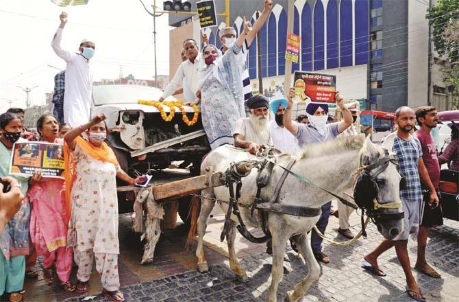 In amritsar, party workers protested in a horse-drawn carriage.Picture:PTI