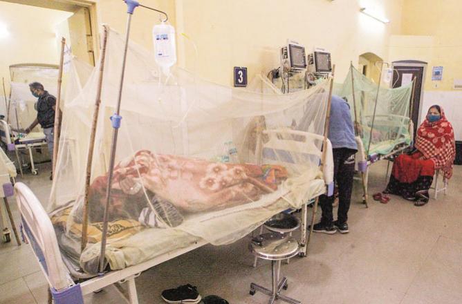 Dengue patients at Prayagraj Tej Bahadur Supro Hospital.Picture:INN