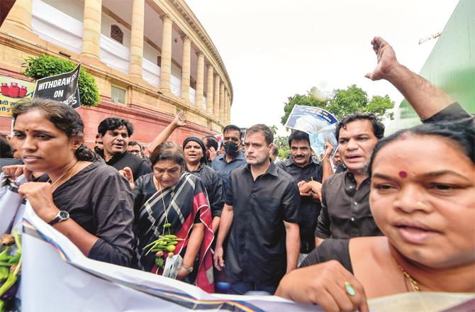 Congress leaders under the leadership of Rahul Gandhi start the protest from Parliament. (Photo: PTI)