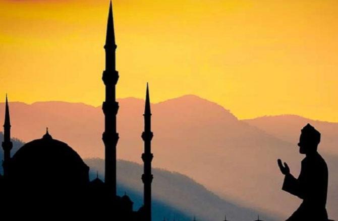 Picture.Picture:PTI