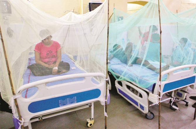 A large number of malaria and dengue patients are coming to the hospital