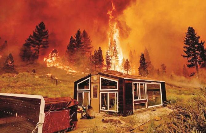 Extreme temperatures are causing more forest fires than usual..Picture:INN