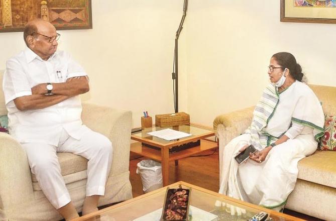 Mamata Banerjee meets NCP chief Sharad Pawar in New Delhi.Picture:PTI