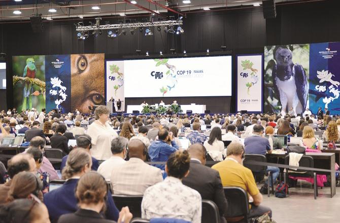 COP 19 conference to be held in Panama.Picture:INN