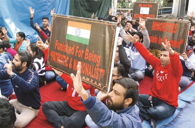 In Jammu, Kashmiri Pandit protesting against Ifi`s Jury Chief Nadu Lapid. (Photo: PTI)