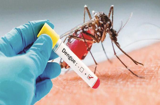 Between January and October, the number of dengue patients in Nagpur has reached 340