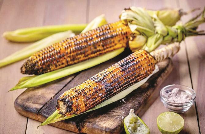 The use of roasted maize in rainy season is also medicinally beneficial