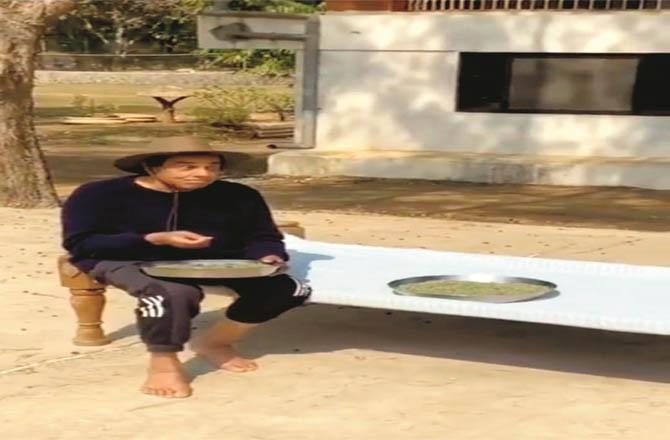 Image taken from Dharmendra`s video