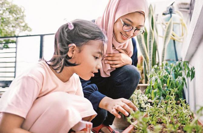  Have children plant plants in the terrace or gallery so that the habit of gardening develops in them.Photo. INN