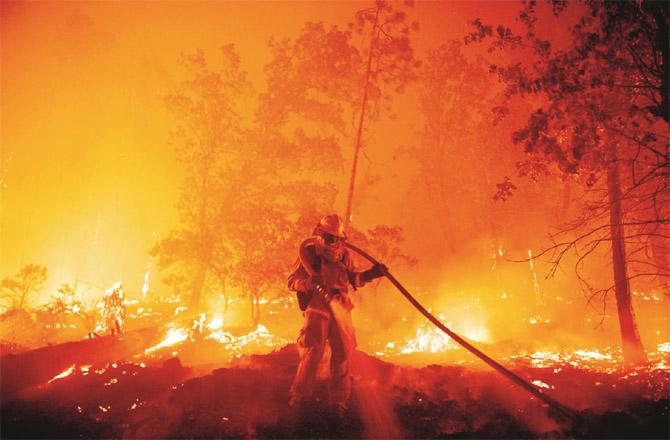 A scene from a California forest fire.