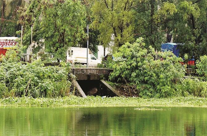 There is a plan to stop sewage disposal in Powai Lake.