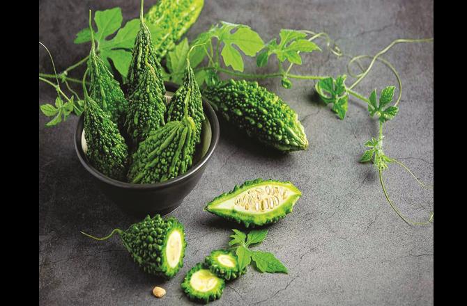 Regular consumption of bitter gourd juice prevents lung problems