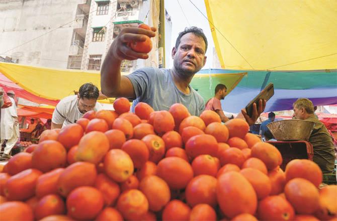 Due to the huge increase in the price of tomatoes and other vegetables, there is anxiety among people. (file photo)