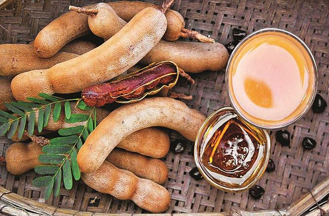Consuming tamarind syrup relieves nausea and vomiting