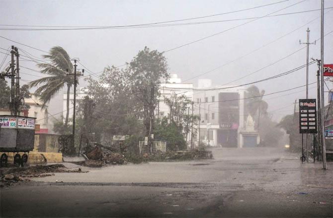 A large number of trees were uprooted by strong winds after Cyclone Baparjoy hit Kut