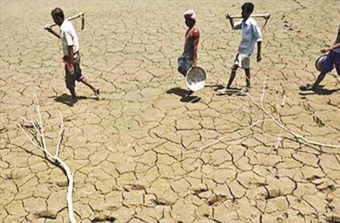Vidarbha and Marathwada regions face more drought problems. (File Photo)