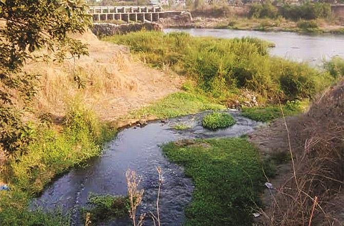 The discharge of water from the industries into the rivers is causing a lot of problems