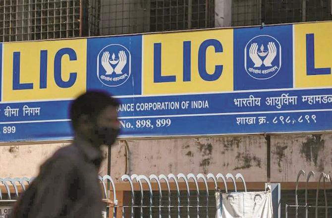 LIC made a profit of 13 thousand crores