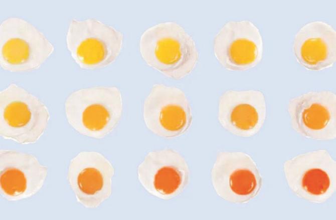 The color of the egg yolk depends on the diet of the hens. Photo: INN