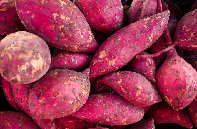 شکر قندی (Sweet Potato): فائبر، کیلشیم اور وٹامن اے سے بھرپور شکر قندی بچوں کو کھانے میں دیں۔ آپ اسے اَون میں فرائی کرکے بچوں کو کھانے کے لئے دیں، انہیں ضرور پسند آئے گا۔