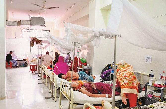 A large number of dengue patients are being treated in hospitals in Bangladesh. Photo: INN