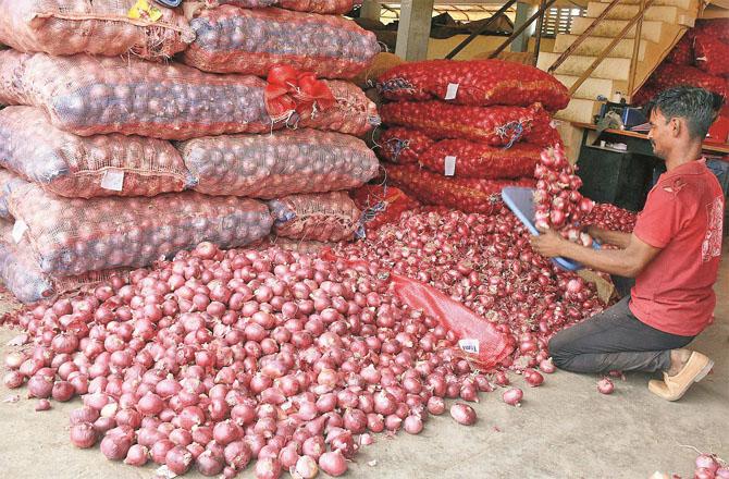 Onion prices are a problem for both the farmers and the government