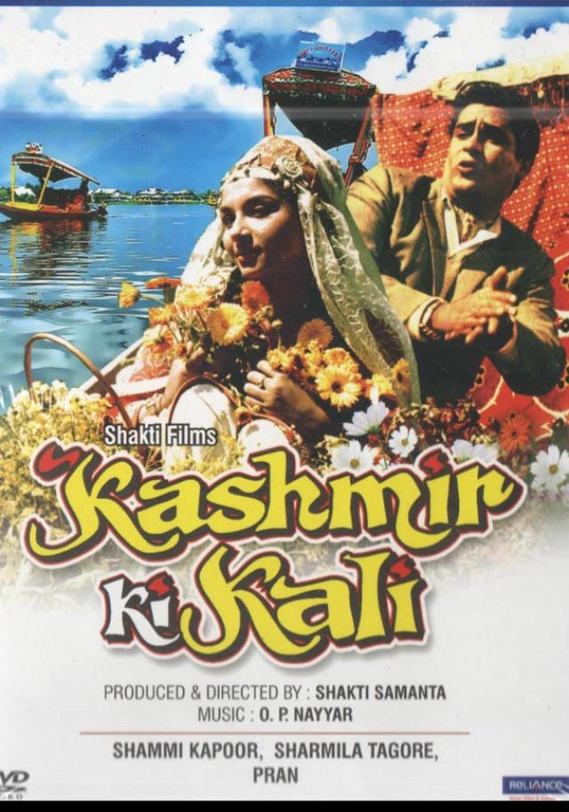 کشمیر میں شوٹ کی گئیں فلمیں