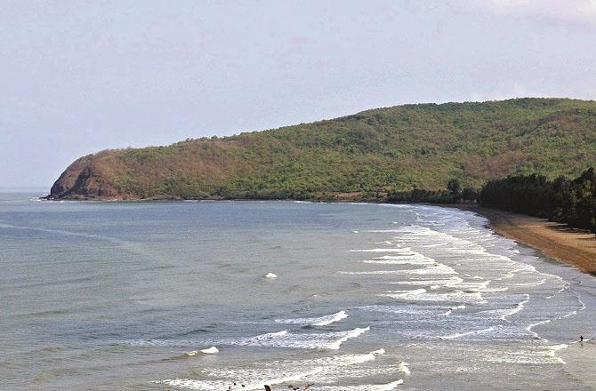 HariHareshwar Beach, where the greenery can be seen far and wide. Photo: INN.