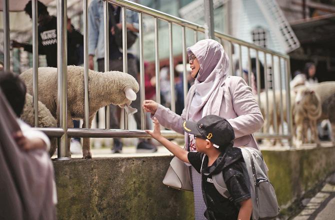 Take children to historical and fun places so they can learn by seeing things. Photo: INN