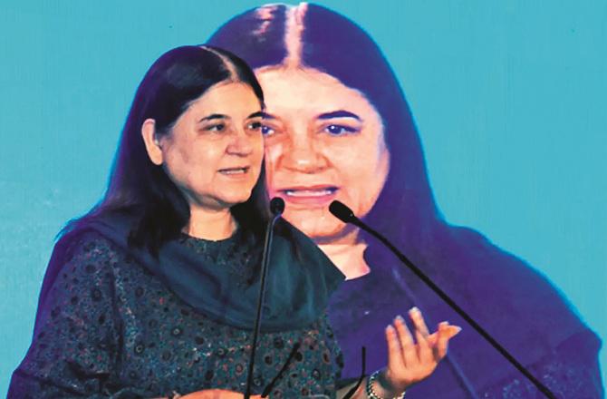 It is not easy for Maneka Gandhi to win this time from Peli Bhait. Photo: INN