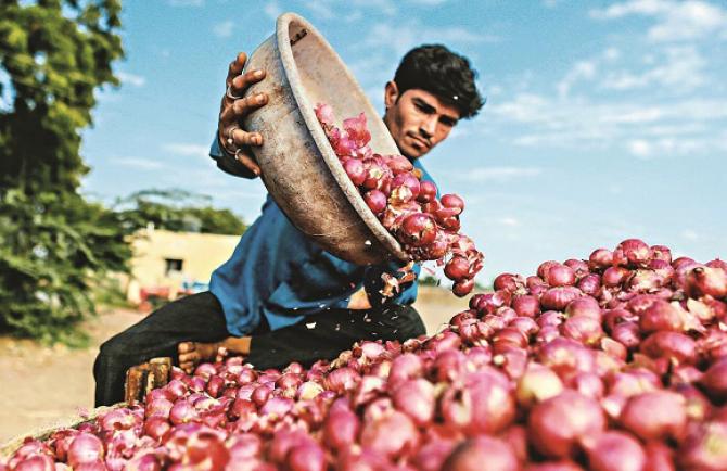 The government is afraid that farmers` anger may not affect the election. Photo: INN