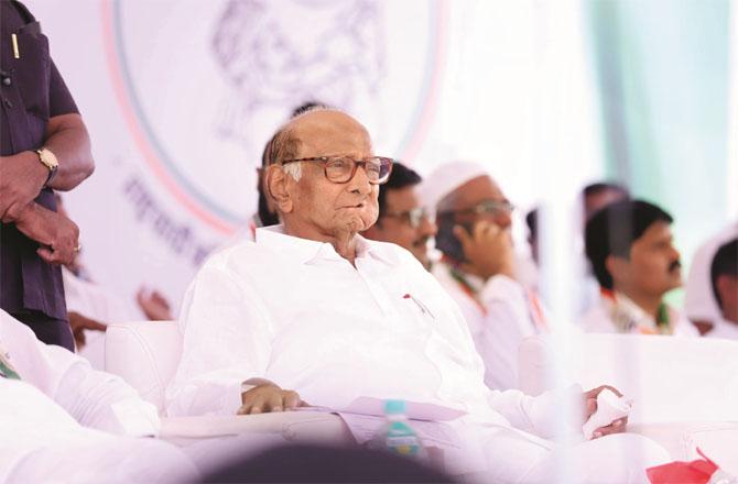 Sharad Pawar is constantly participating in rallies and giving speeches until his throat is closed. Photo: INN