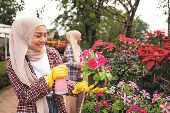 Islam is the religion of nature and through love for nature we can keep not only ourselves but also our surroundings green. Photo: INN