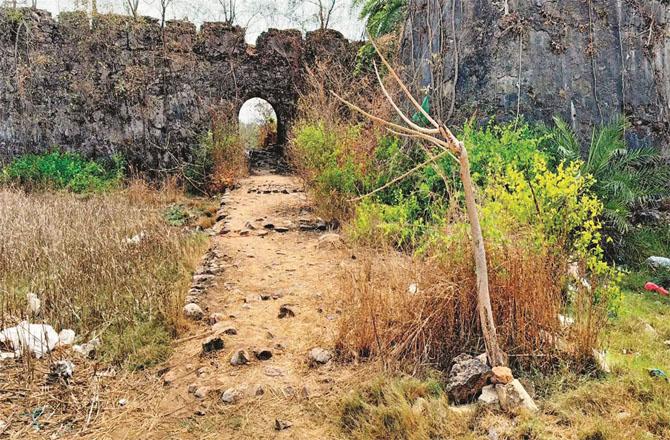 Experts are trying to find out how the leopard reached the fort. Photo: Hanif Patel