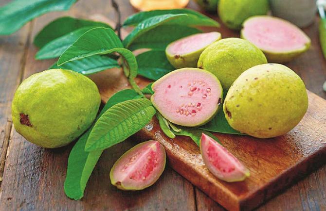 Consuming one guava daily prevents premature wrinkles from appearing on the skin. Photo: INN