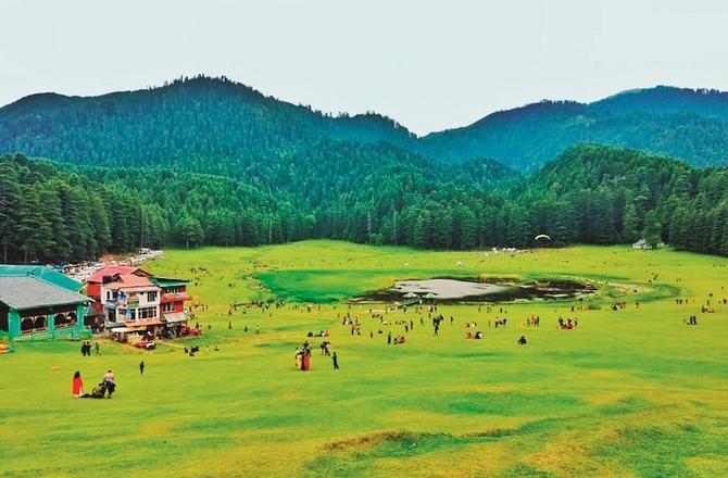 A palm field can be seen which looks like Switzerland. Photo: INN