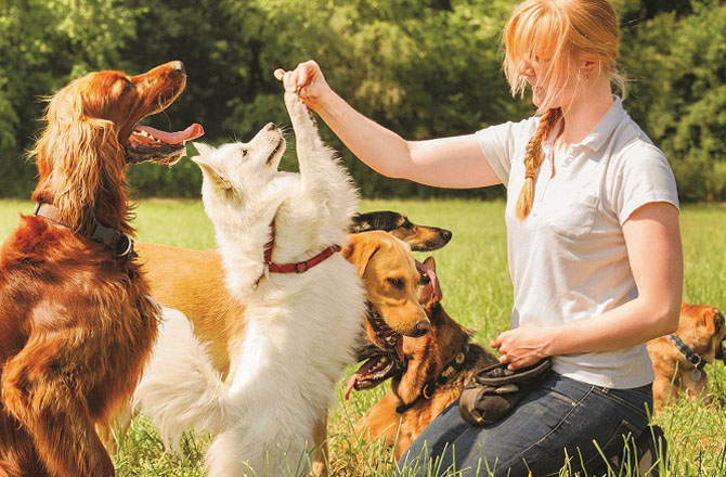 کتا(Dog): کتا ماضی میں جینے والے جانور نہیں اور نہ ہی وہ مستقبل کی فکر کرتا ہےبلکہ وہ حال میں رہنا اور جینا پسند کرتاہے۔ یہ ہمارے لئے ایک بڑا سبق ہے کہ ہم ماضی میں زندگی بسر نہ کریں اور حال میں جیتے ہوئے زندگی کے خوبصورت لمحات کا لطف اٹھائیں۔کتاوفاداری کا بے مثال مظہرہے۔ وہ ہر وقت اورقیمت پر اپنے پیاروں کی حفاظت کیلئے تیار رہتا ہے۔ اسی طرح ہمیں بھی اپنے رشتوں کی قدر کرنی چاہئے اور وفاداری کا ثبوت دیتے ہوئے مشکل وقت میں ان کیلئے کھڑے ہونا چاہئے جن کی ہم پروا کرتے ہیں۔کتے کے ظاہری اور باطنی کردار میں تصنع نہیں ہوتا۔وہ ہر لحاظ سے خود کو نیچرل رکھتاہے۔ یہ صداقت ایسی چیز ہے جس کی ہمیں خواہش کرنی چاہئے۔ یہ خوشی اور ذہنی سکون کا باعث بنتا ہے۔ کتا قدرتی طور پر متجسس مخلوق ہے۔ وہ ہمیشہ اپنے ماحول سے سیکھتا رہتا ہے۔انسانوں کو بھی چا ہئےکہ وہ یہ صفت خود میں بھی پیدا کریں اور اپنے آس پاس کی دنیا سے کچھ نیاسیکھنے کی کوشش کریں۔ کتامعاف کرنے میں عجلت کا مظاہرہ کرتاہے۔ دوسروں کو اور خود کو معاف کرنا سیکھنا، ذاتی ترقی کا ایک کلیدی حصہ ہے۔کتا فطرت کے قریب رہنا زیادہ پسند کرتا ہے۔