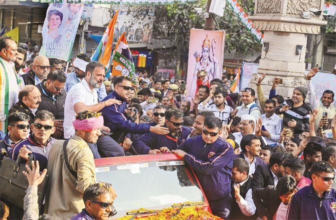 Rahul Gandhi received a grand welcome in Rae Bareli. Photo: PTI