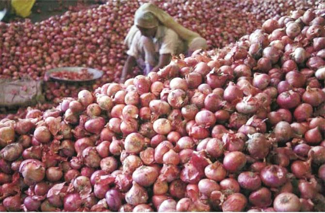 Ban on export of onion will continue till March 31