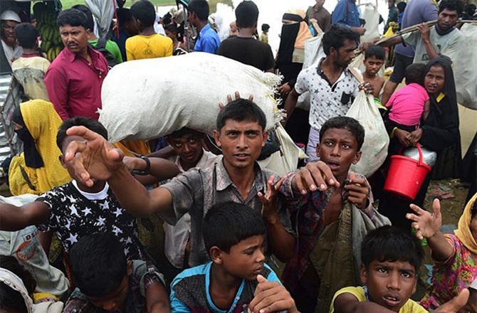 Rohingya refugees in Bangladesh. Photo: PTI