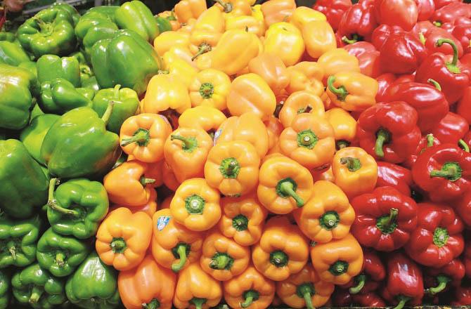 Capsicum is rich in nutrients that are important for bone health. Photo: INN